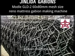 Sehen Sie sich Chinas Top-Gabion-Maschine in Aktion an: Vollautomatische, schnelle Fertigung